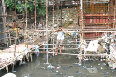 one-of-a-slum-boy-enjoys-his-evening-near-the-drainage-with-pigs